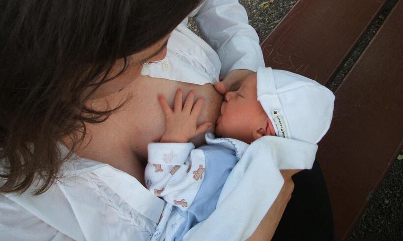 Leite materno: fórmula perfeita especialmente para bebês prematuros - seeseehundhund/Pixabay 
