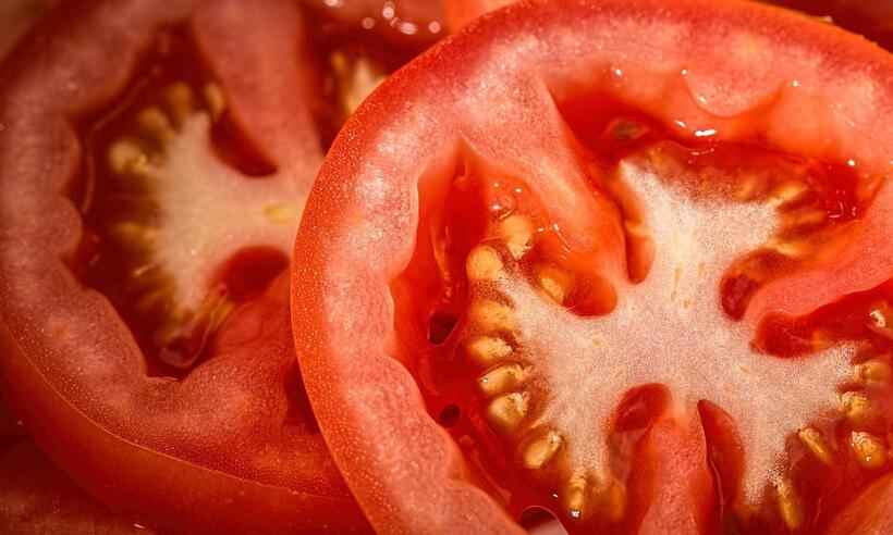 Tomate é associado à diminuição do risco de doenças crônicas - stevepb/Pixabay 