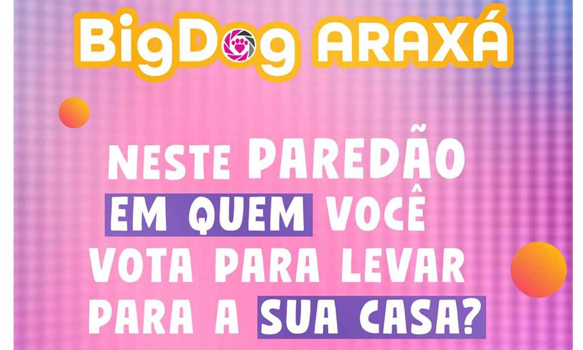 Big Dog: Araxá lança campanha de doações de cães inspirada no BBB - Prefeitura de Araxá/Divulgação