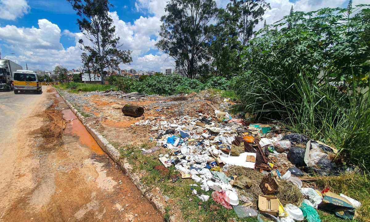 BH: parque tomado por lixo ganhará cercamento e urbanização da área verde - Leandro Couri/EM/D.A Press