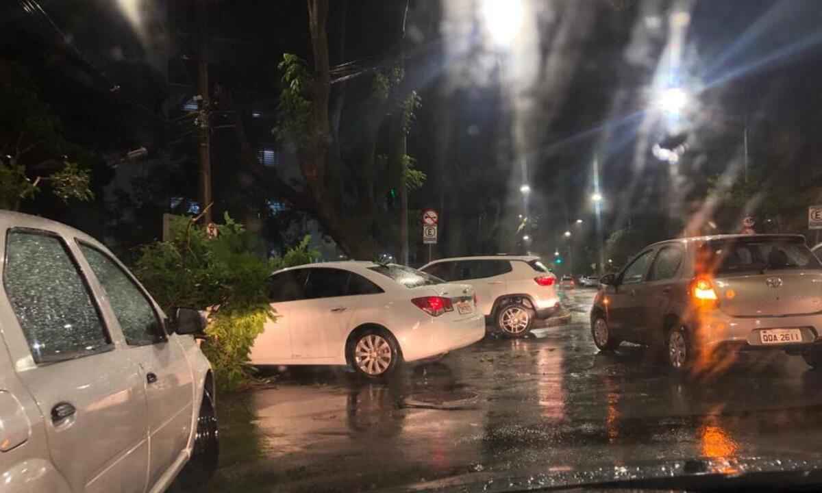 Chuvas em BH: árvore despenca sobre dois carros na Avenida do Contorno - Flavia Denise