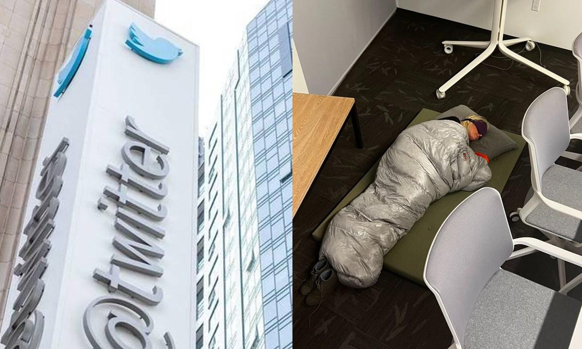 Twitter demite mais 200, incluindo diretora que dormiu em escritório - Constanza Hevia/AFP/Twitter/Reprodução