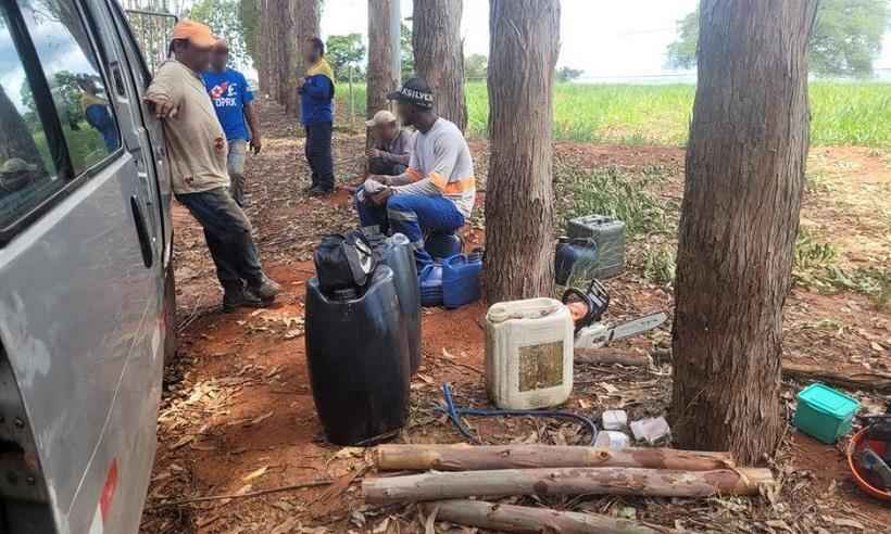 Treze trabalhadores em situação análoga à escravidão são resgatados em MG - Divulgação/Gerência do Trabalho de Uberlândia
