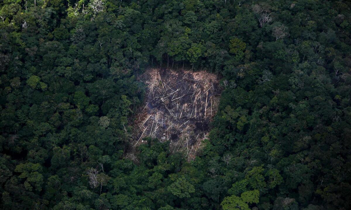 Yanomamis oferecem estatueta alternativa aos vencedores do Oscar - Michael Dantas/AFP