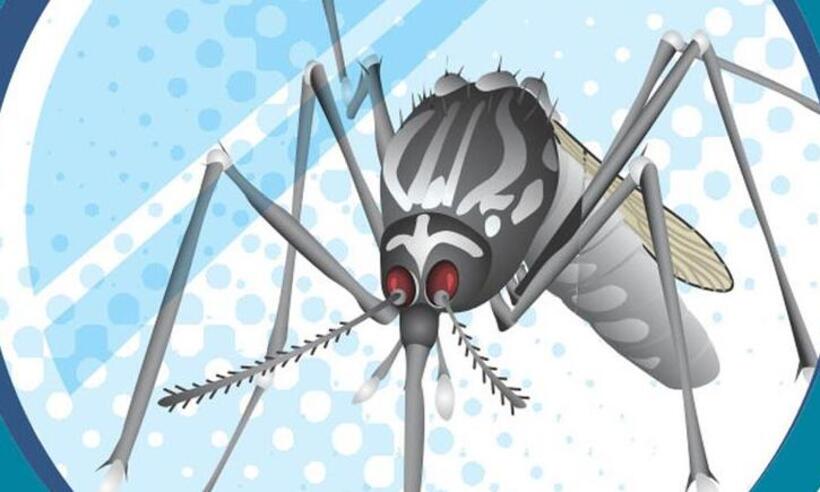 A dengue do posto de saúde é diferente do dengue dos mimadinhos
