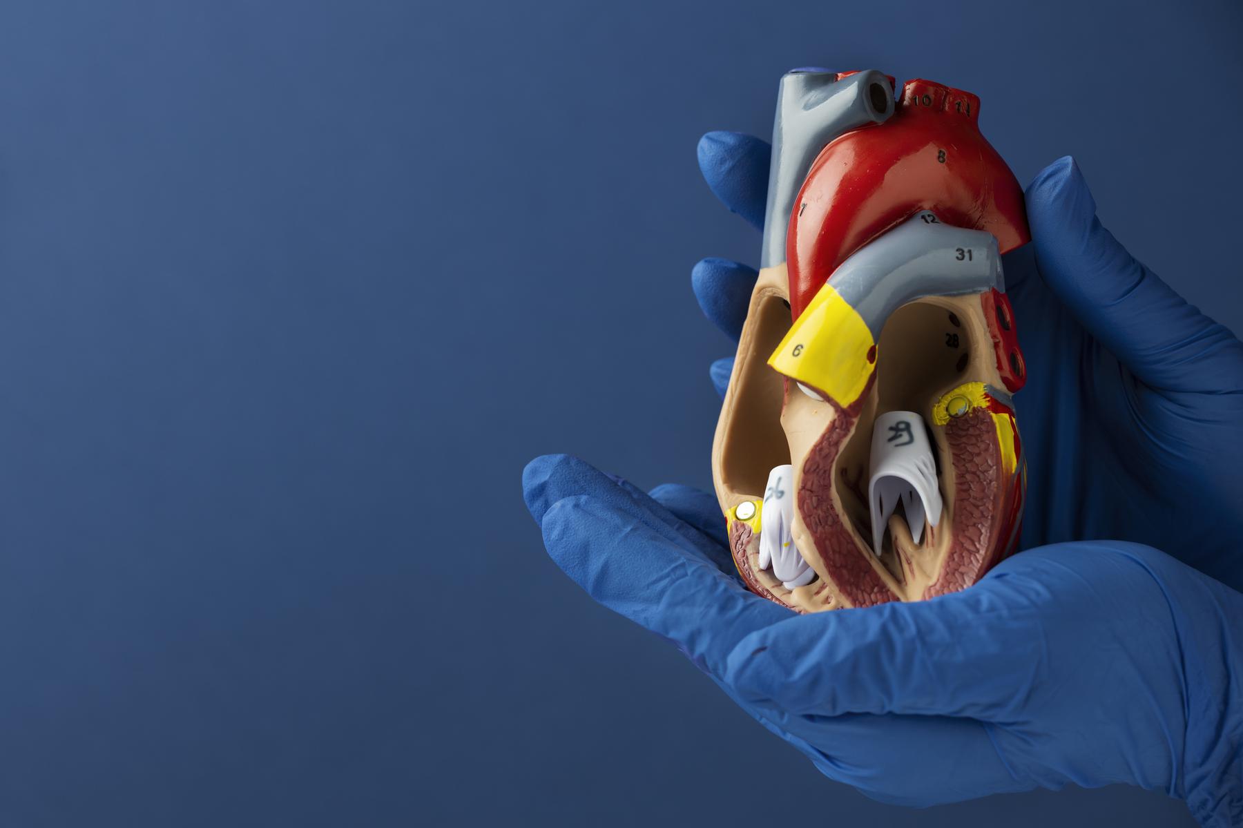 Órgãos e tecidos: Brasil é o 2º país que mais faz transplantes no mundo - Freepik