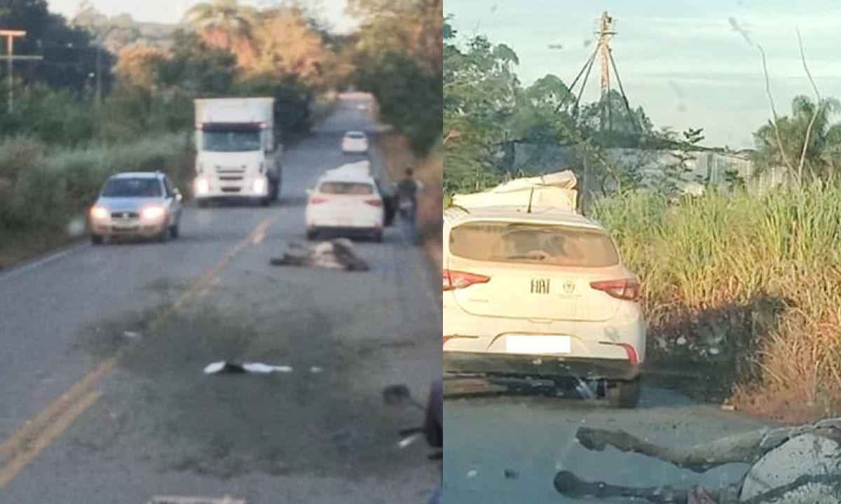 MG-238: acidentes envolvendo animais preocupam motoristas - Divulgação/Polícia Militar Rodoviária