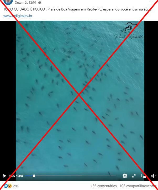 Vídeo de cardume de tubarões foi filmado em praia da Flórida, não em Boa Viagem, em Recife