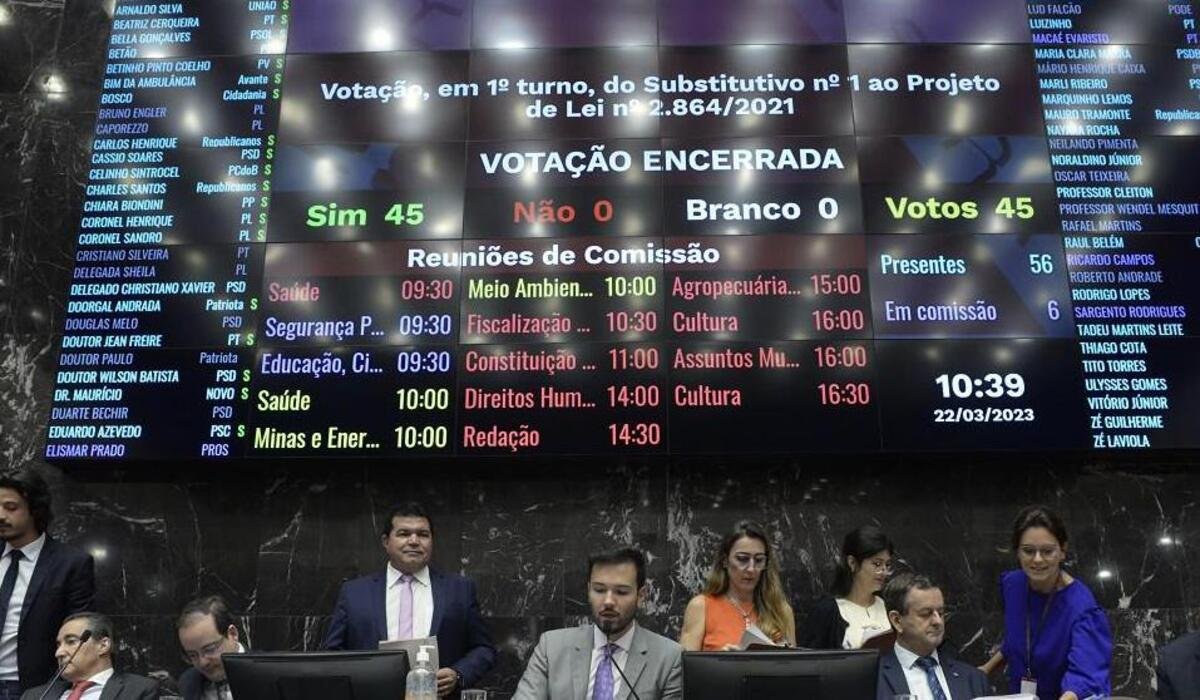 Violência doméstica: contas de água e luz terão telefones para denúncias - Arquivo ALMG - Foto: Clarissa Barçante