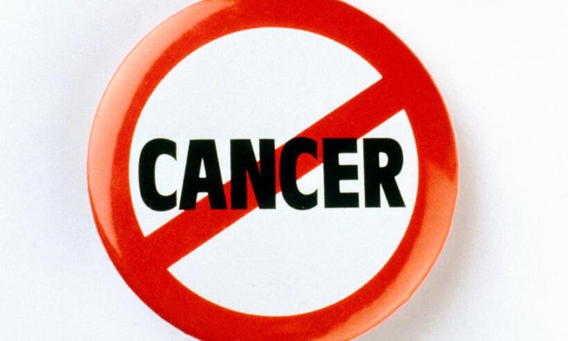 SBP e SBC apoiam nova estratégia contra câncer de colo uterino - National Cancer Institute/Unsplash


