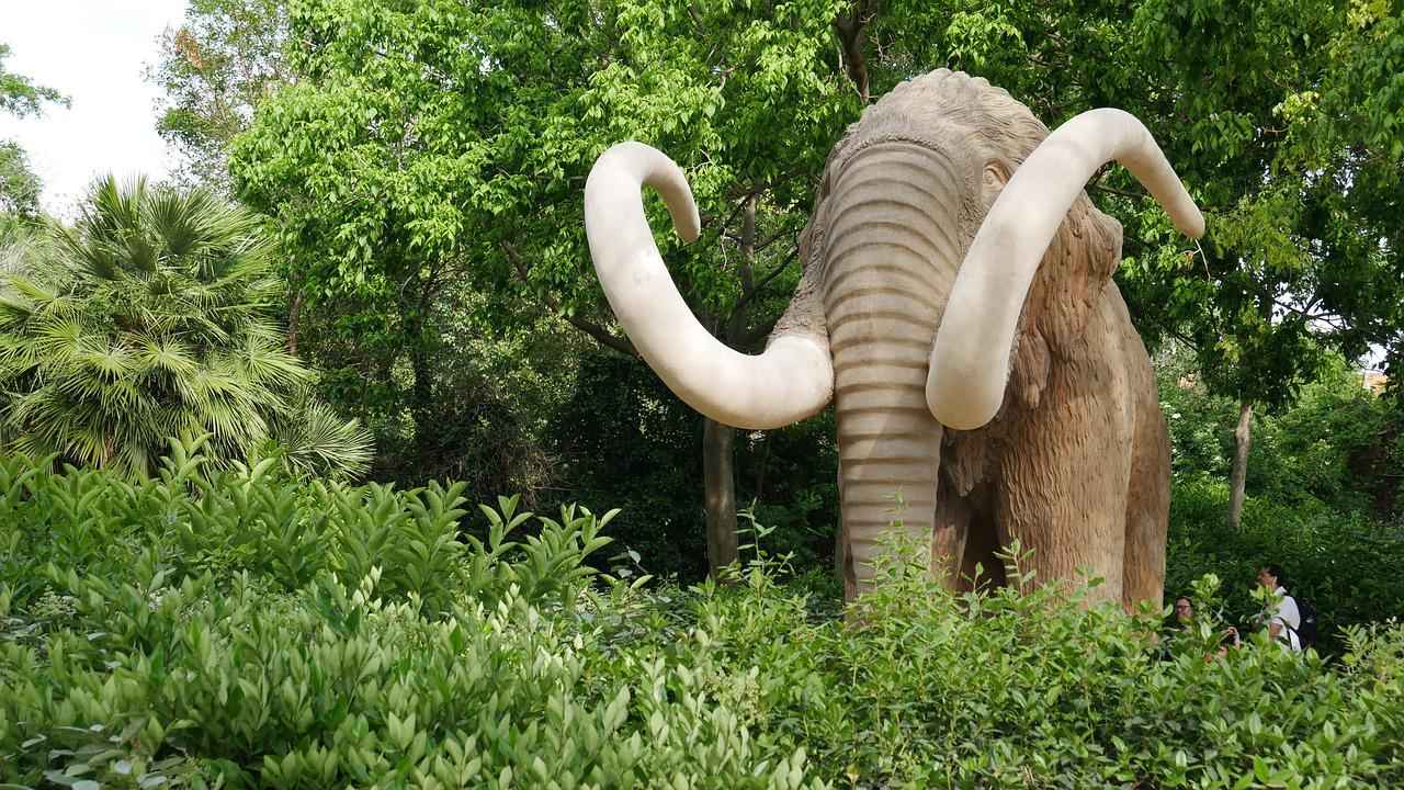 Cientistas apresentam almôndega de carne de mamute - Pixabay