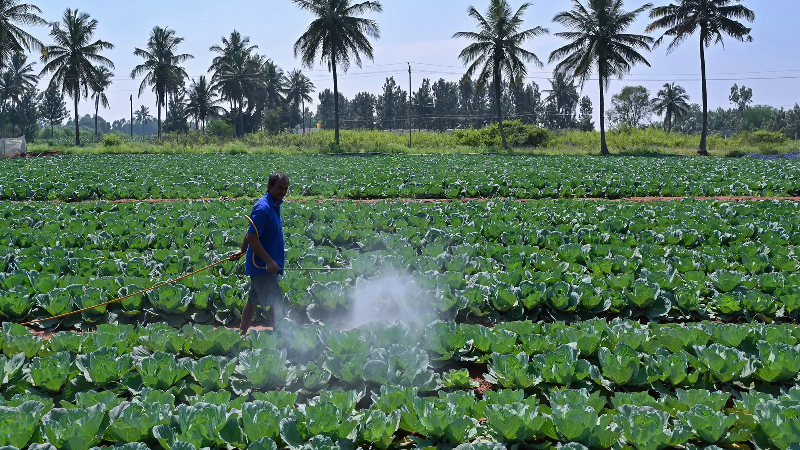 Como os pesticidas podem alterar nossos sentidos e fazer mal à saúde - Getty Images