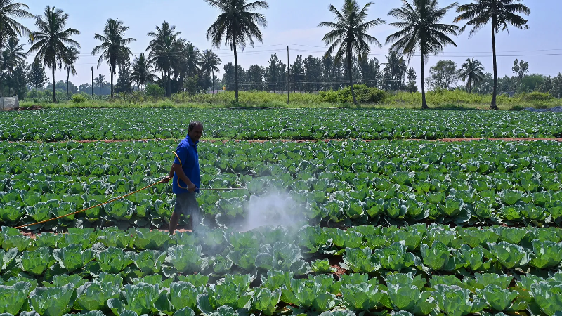 Pesticidas e os danos no microbioma intestinal - parte 2 - Getty Images