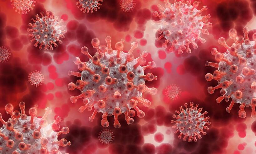 COVID:  tratar com anticorpos reduz risco de hospitalização ou morte em 39% - Gerd Altmann/Pixabay 