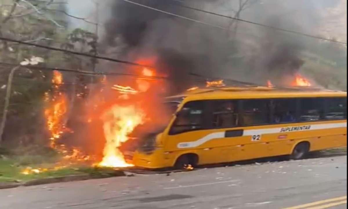 Micro-ônibus bate em poste, incendeia e fogo alastra para mata - Clarice Campolina