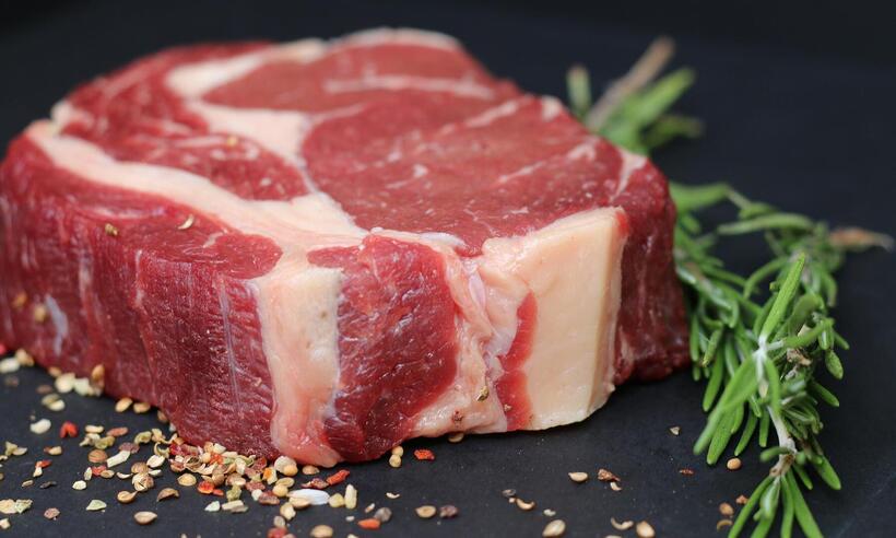 Rússia põe fim ao embargo da carne bovina do Brasil, diz Itamaraty -  tomwieden/Pixabay 