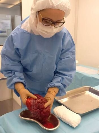 Medicamento brasileiro inédito, tido como capaz de reverter lesão medular, é apresentado em SP - INTO/Divulga&ccedil;&atilde;o