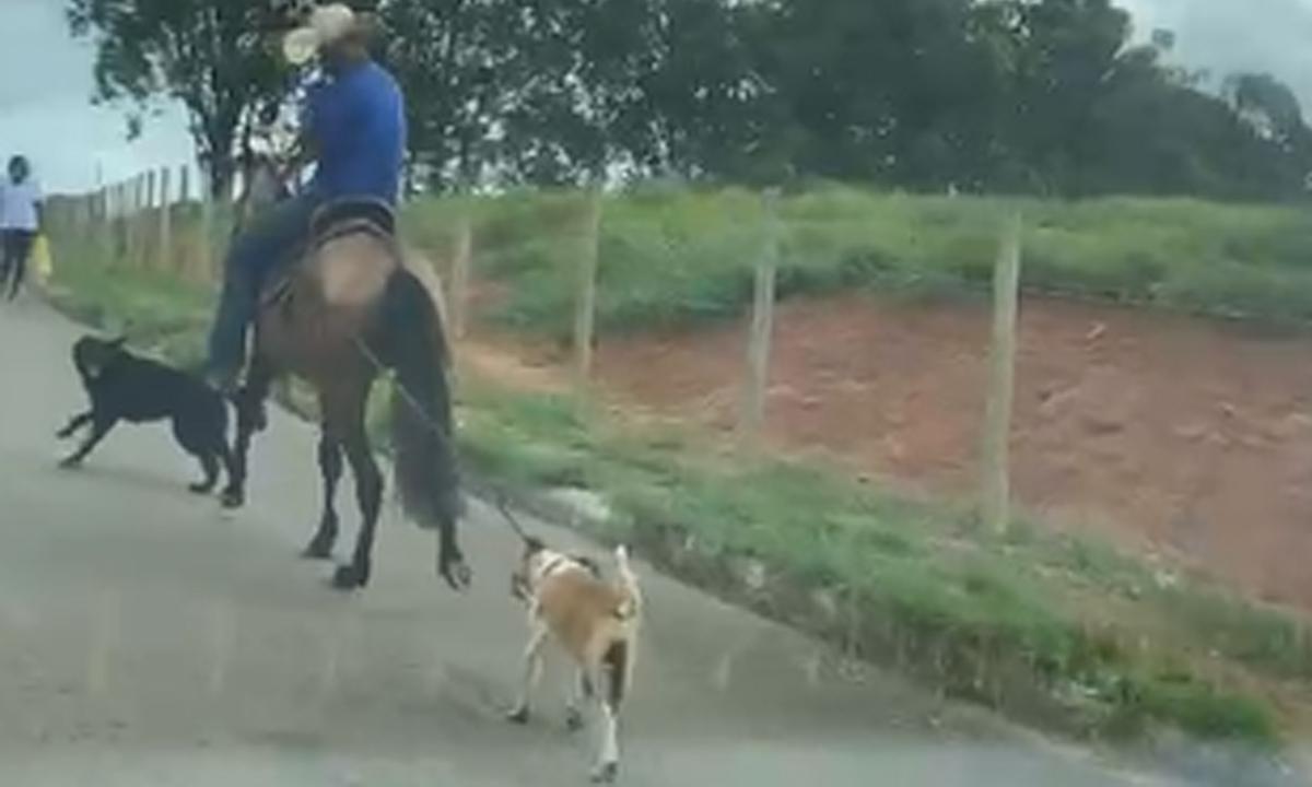 Vídeo: mulher denuncia homem a cavalo que puxava cachorro amarrado - Reprodução Arquivo Pessoal/ Yasmin Gabriel
