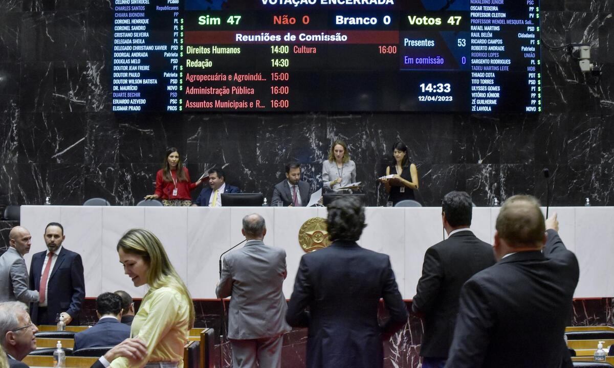 Projeto com medidas de segurança nas escolas de MG é aprovado em 2º turno - Willian Dias/ALMG