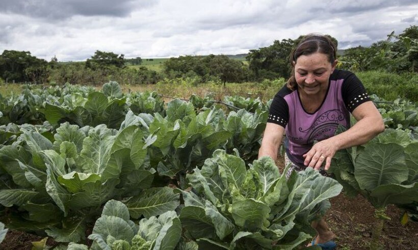 Mulheres do campo trabalham mais e recebem 20% a menos que homens, diz FAO - EBC