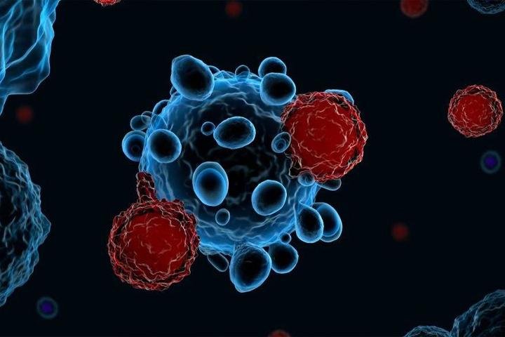 Testes genéticos para descoberta de câncer: prevenção agora e no futuro - Pixabay