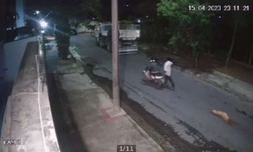 Vídeo: cadela é arrastada por dois homens em uma moto em bairro de BH - Redes Sociais/Divulgação