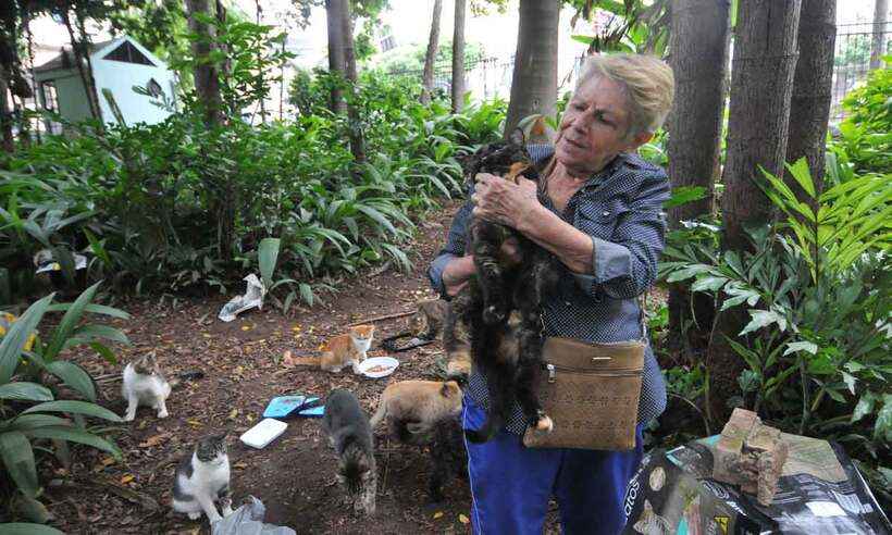 Encantadora de gatos: idosa alimenta animais do Parque Municipal há 11 anos - Gladyston Rodrigues/EM/D.A Press