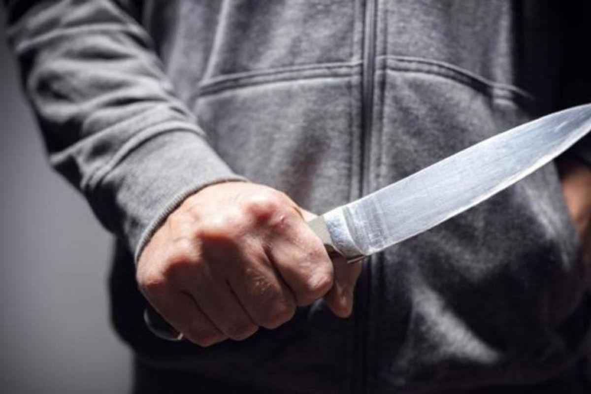 Homem mata a facadas pitbull de ex-companheira depois de tentar agredi-la - Reprodução/Pixabay