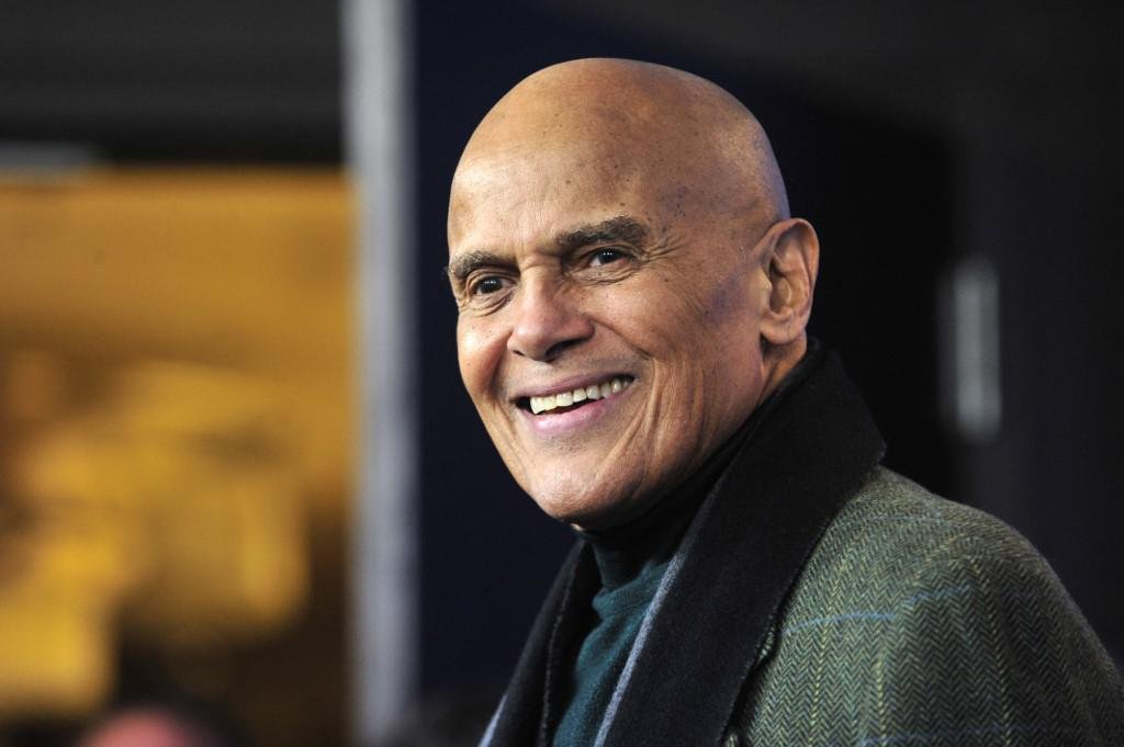 Harry Belafonte, artista e ativista pioneiro, morre aos 96 anos - John MACDOUGALL / AFP