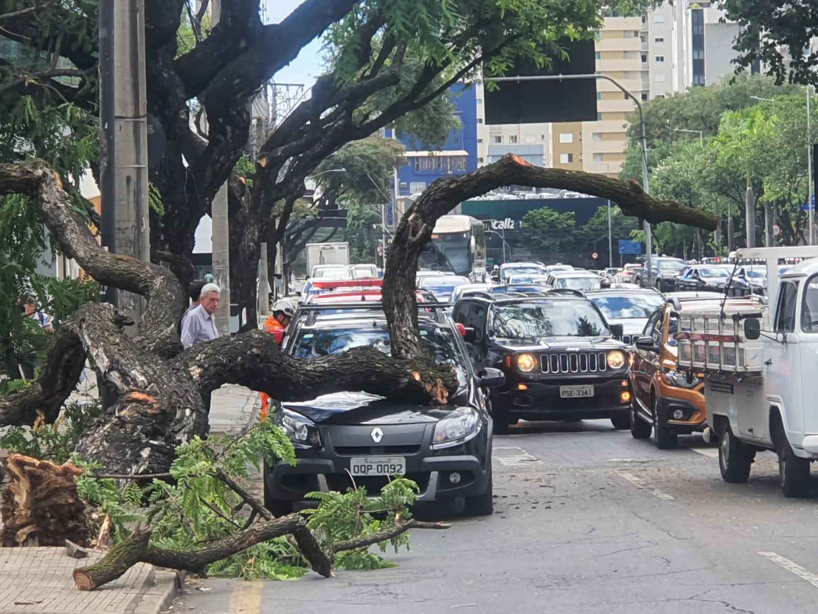 Árvore cai e atinge carro na avenida Nossa Senhora do Carmo - Leandro Couri/ EM/ D.A Press