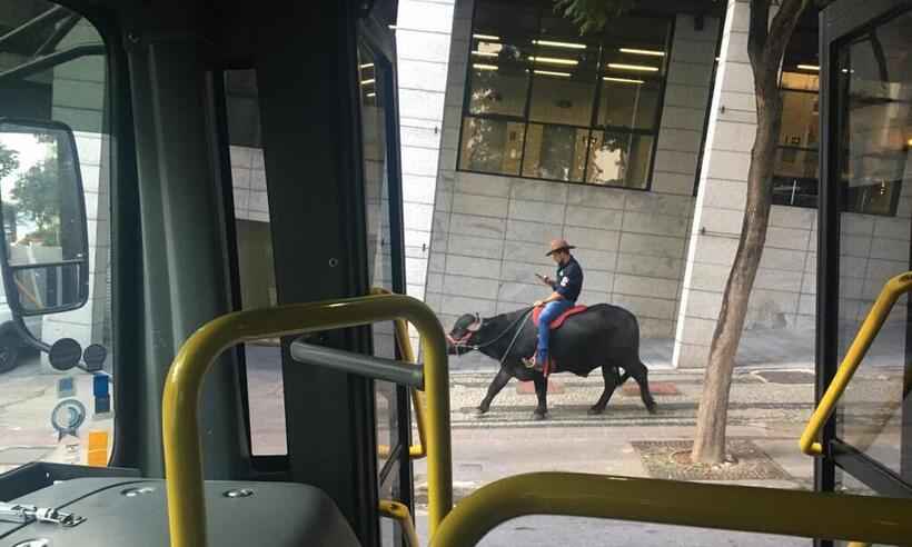 Homem anda montado em búfalo pelo Centro de BH - Arquivo Pessoal 