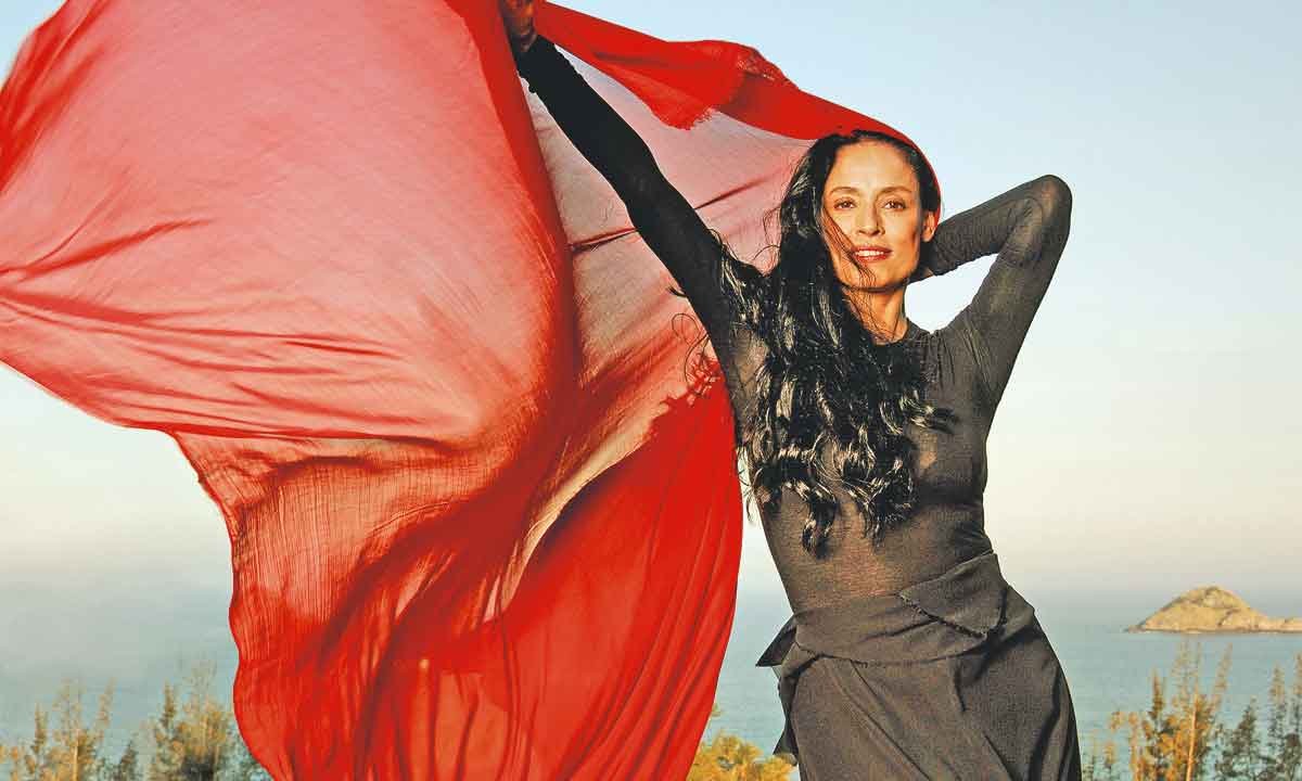 Fotobiografia de Sonia Braga destaca carreira e atuação política da atriz - Luciana Avellar/Divulgação