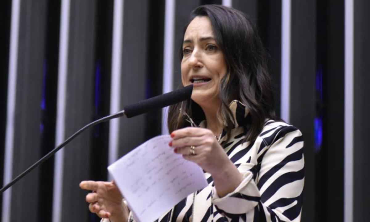 Mulher de Moro diz que Gilmar Mendes é 'obcecado' pelo senador - Zeca Ribeiro/Câmara dos Deputados
