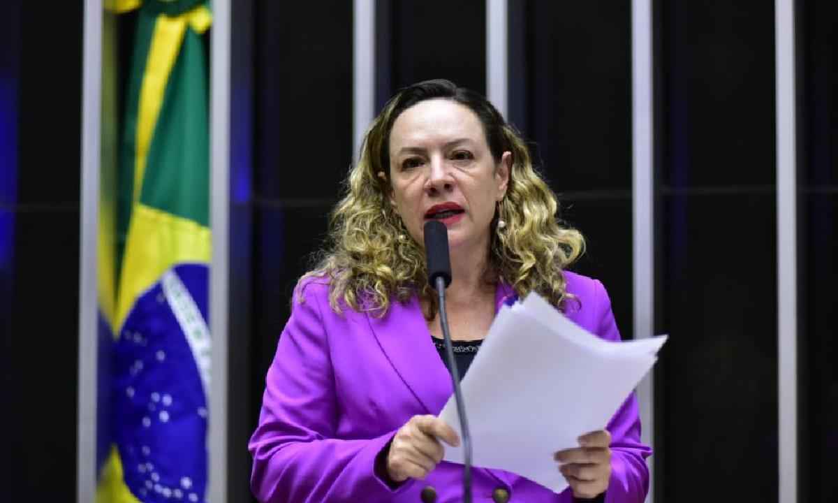 CPMI do 8/1: PT vai indicar deputada delegada experiente em segurança - Zeca Ribeiro/Câmara dos Deputados