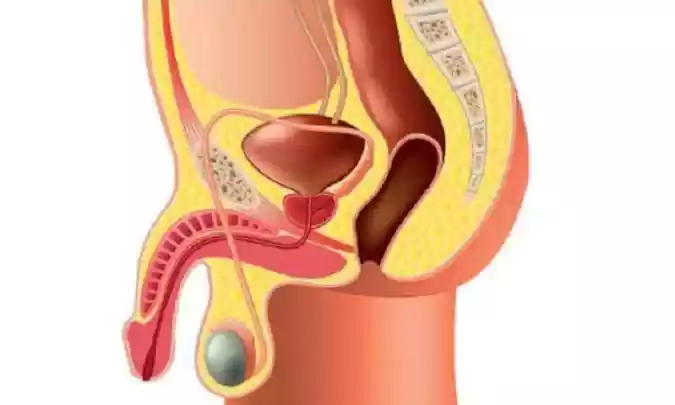 Aparelho cirúrgico para próstata beneficia recuperação do paciente - Correio Braziliense/Reprodução