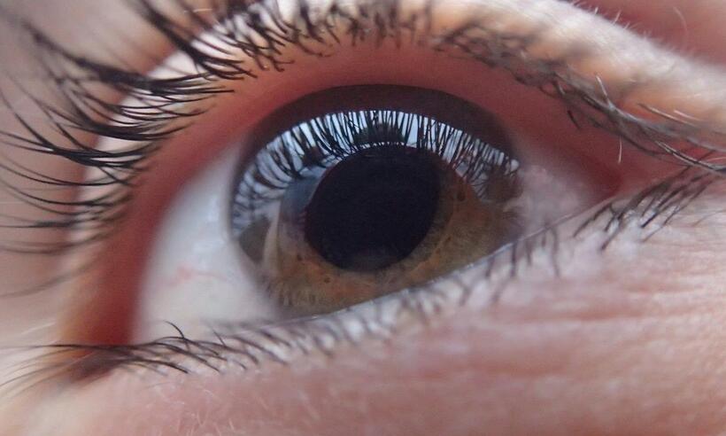 SUS: oftalmologistas salvaram 1,3 milhão do risco da cegueira  - Tobias Dahlberg/Pixabay 