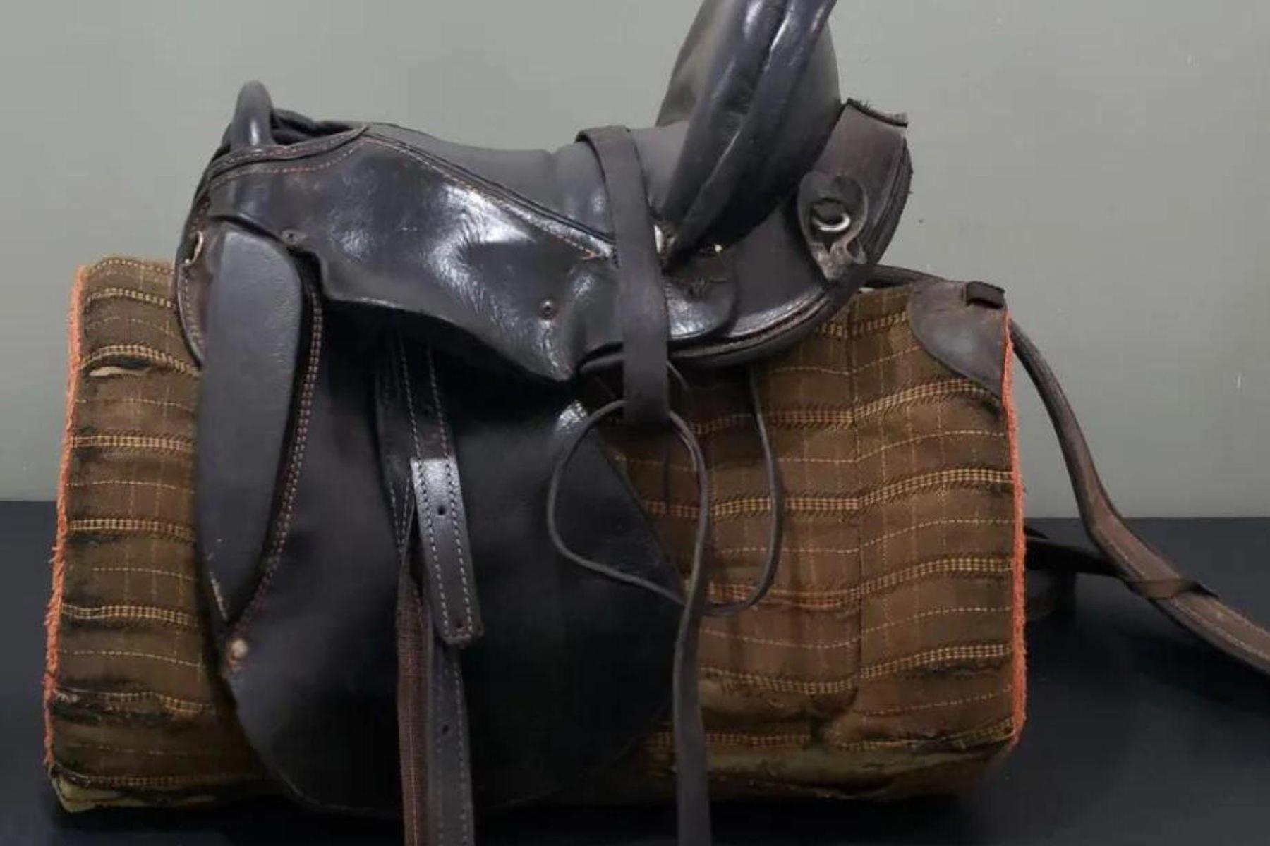 Cavalos de raça avaliados em R$ 35 mil são recuperados em ação da polícia - Divulgação/Polícia Civil MG