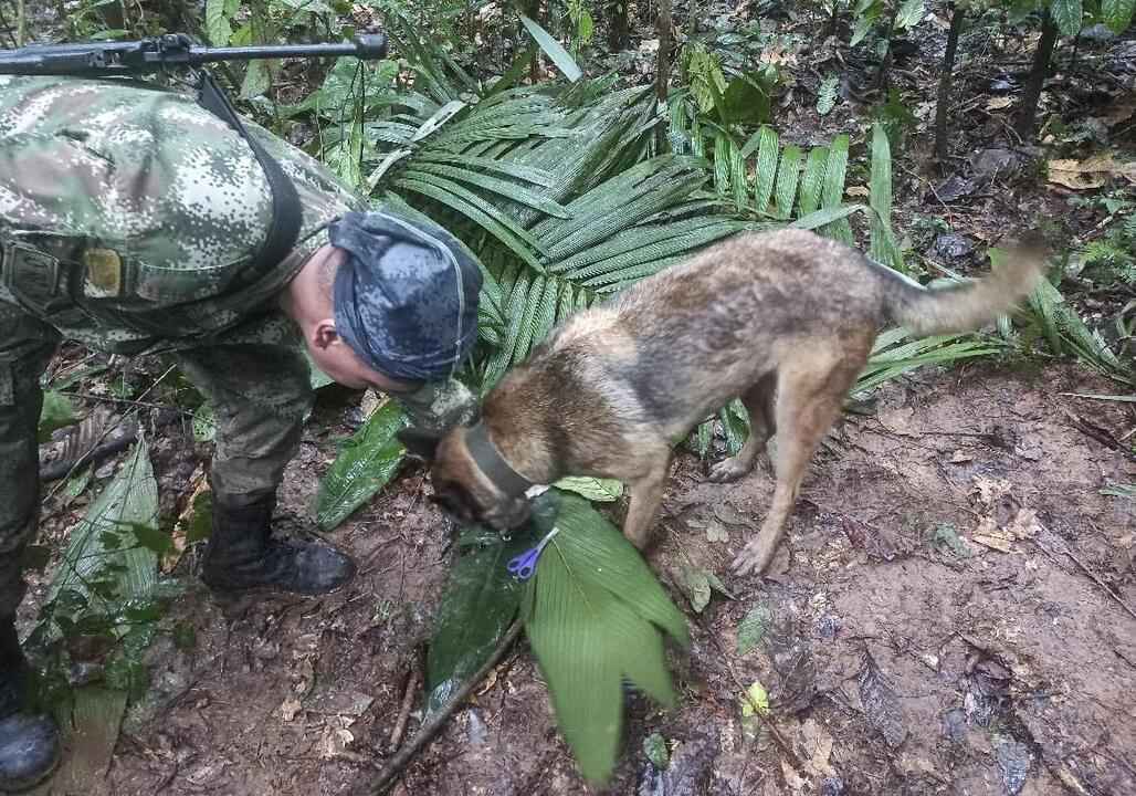 Colômbia: crianças são encontradas vivas 17 dias após acidente com avião - AFP PHOTO/COLOMBIAN ARMY