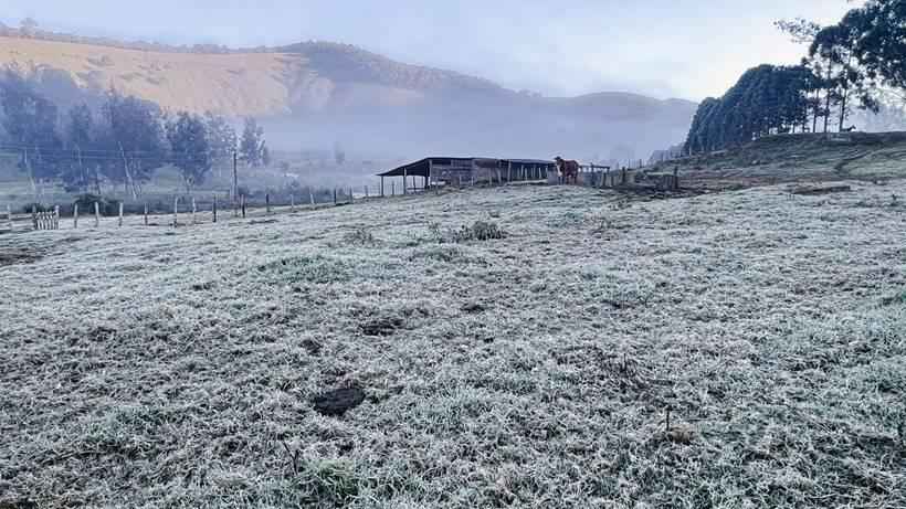 Sul de Minas registra geadas e baixas temperaturas pelo quinto dia  - William Siqueira