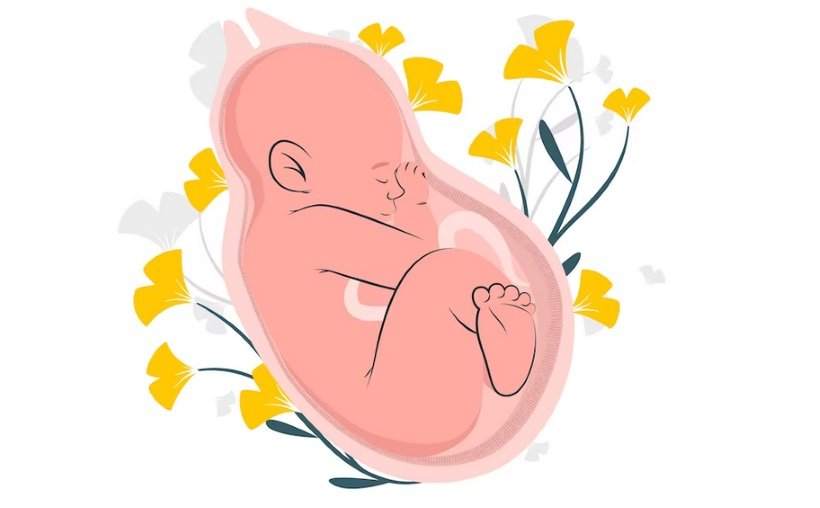 Sonho de ter filhos: você já testou sua fertilidade? - Freepik