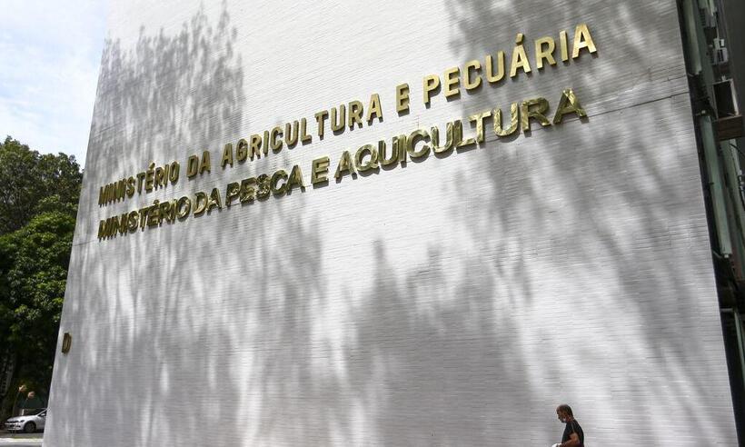 Gripe aviária: ministro da agricultura decreta estado de emergência - Marcelo Camargo / Agência Brasil