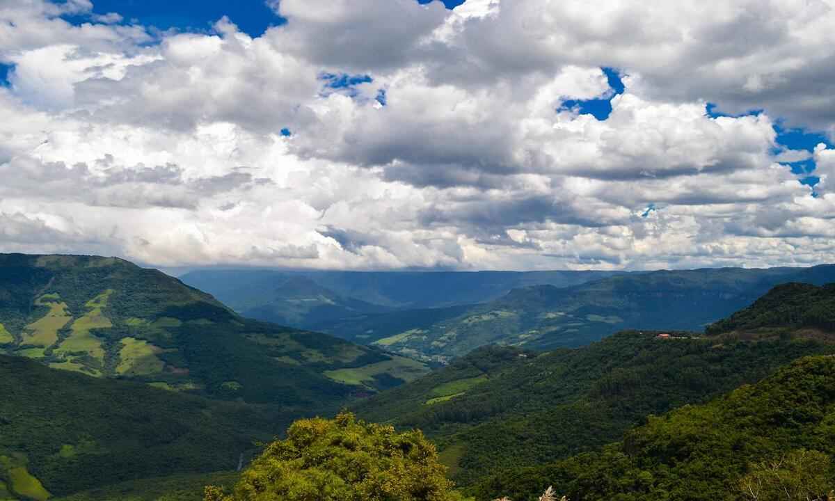 Minas Gerais é líder de ranking nacional de desmatamento da Mata Atlântica