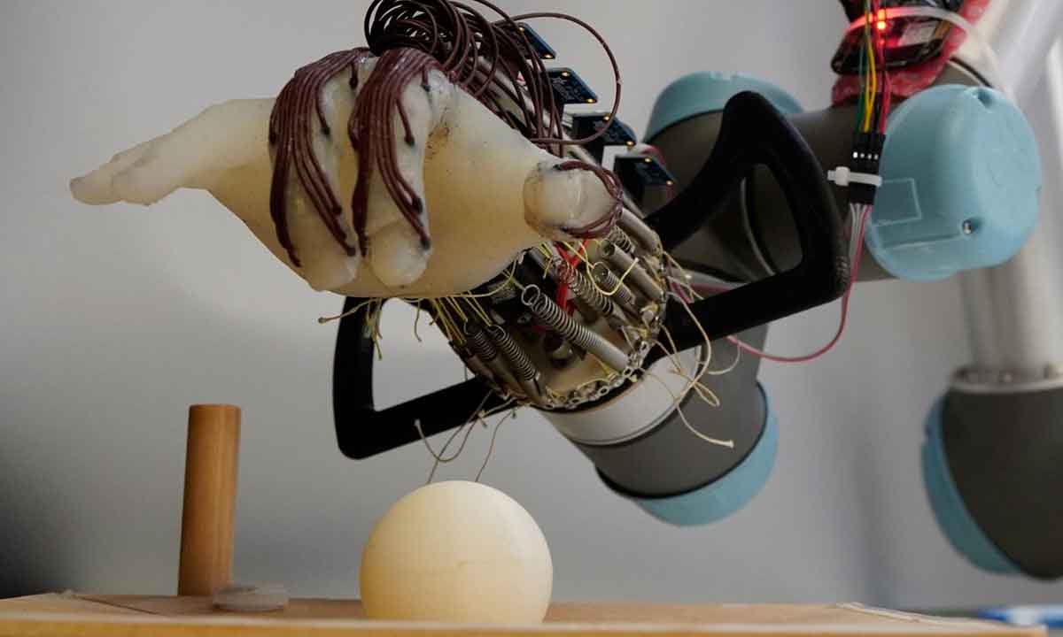 Robôs imitam mãos a baixo custo e pouco consumo de energia - Universidade de Cambridge/Divulgação