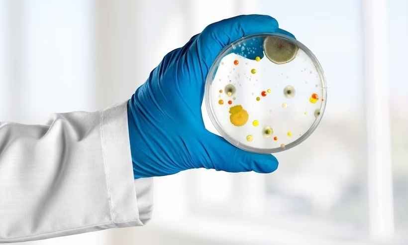 Infecções bacterianas são a segunda principal causa de morte no mundo - Freepik
