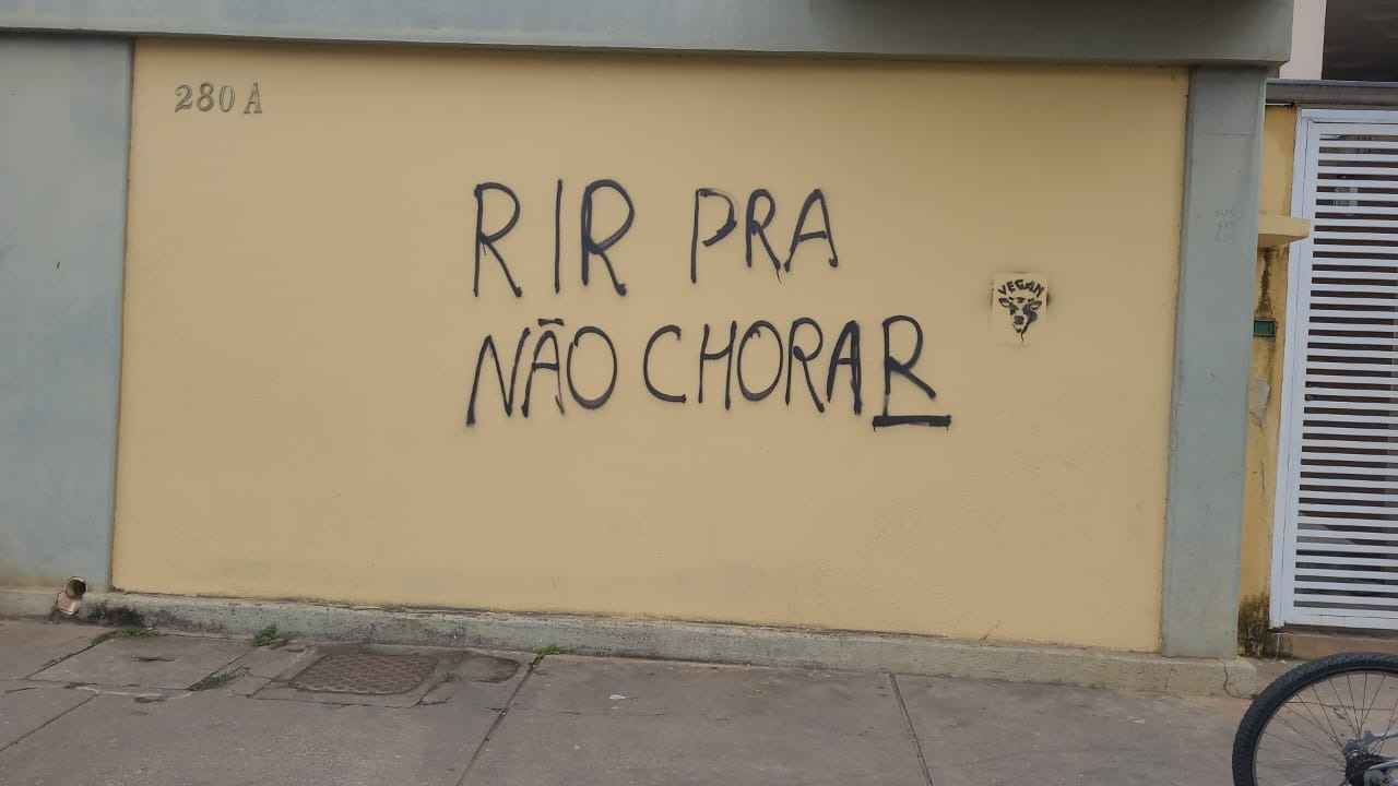 Estudante de física da UFV picha muros de Viçosa para 'deixar sua marca' - Divulgação/ PCMG