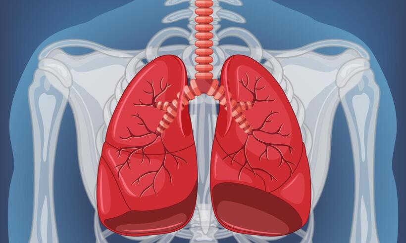 Câncer de pulmão: comprimido reduz pela metade risco de morte  - brgfx/Freepik