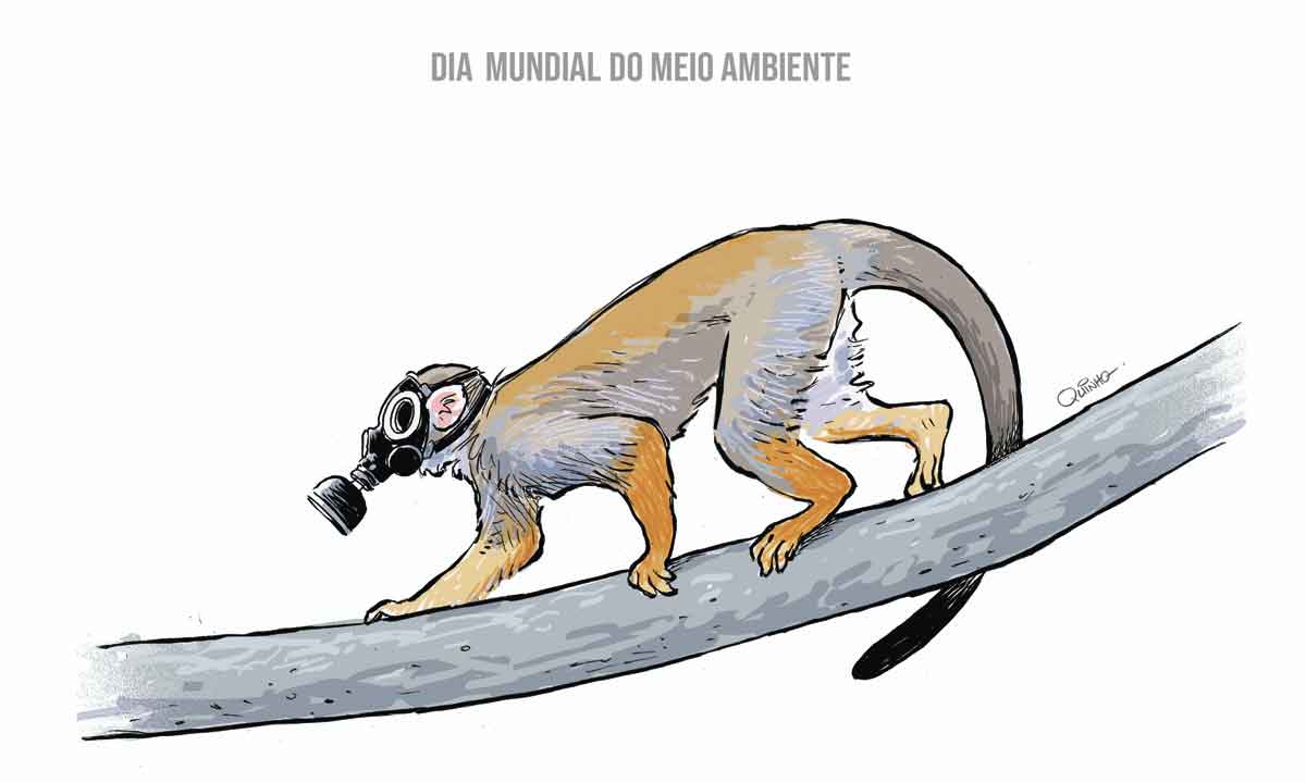 DIA MUNDIAL DO MEIO AMBIENTE - Quinho