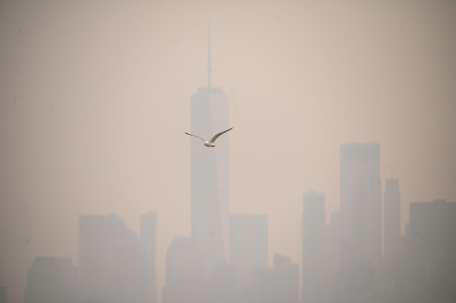 Fumaça de incêndios no Canadá afeta voos e visibilidade em Nova York - ED JONES/AFP