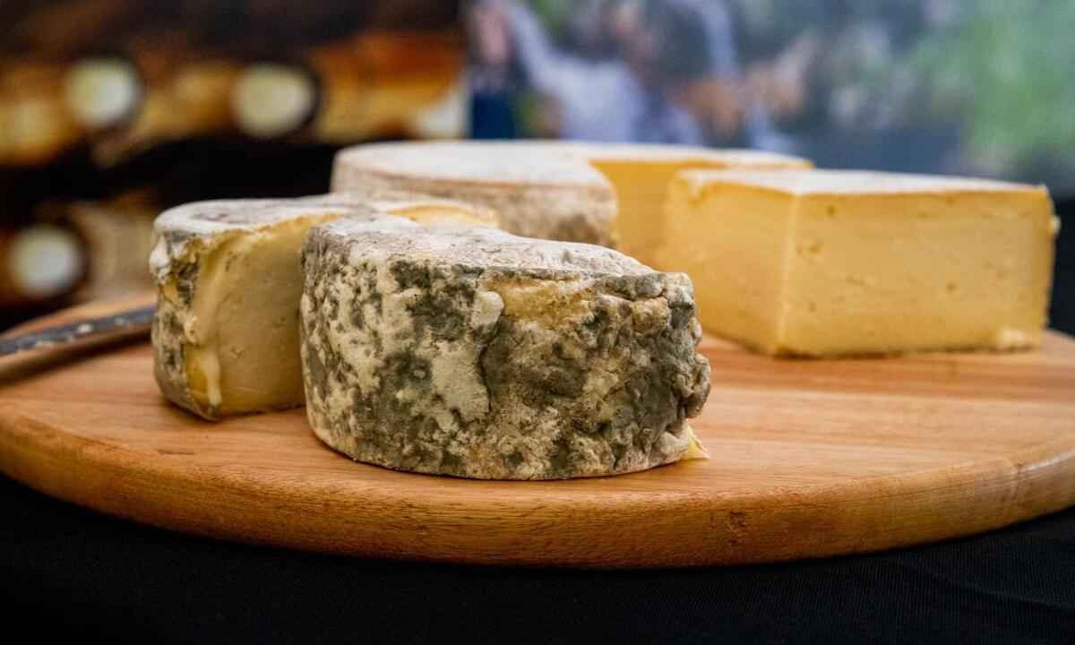 Conheça os três tipos de queijos artesanais mineiros regulamentados - Dirceu Aurélio/Imprensa MG