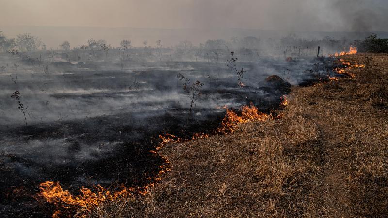 Como destruição do Cerrado é ofuscada por 'prioridade' à Amazônia - Getty Images